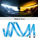 Articulo-4.webp